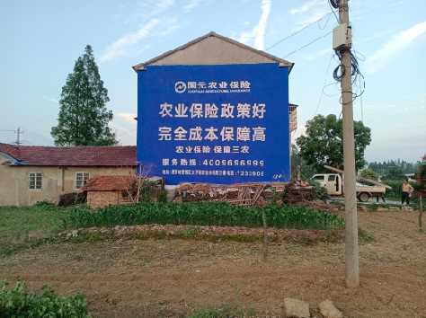 岳阳墙体广告的优劣势你知道吗？