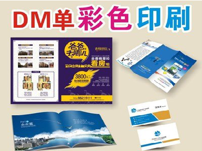 岳阳单页印刷,色彩搭配简单。